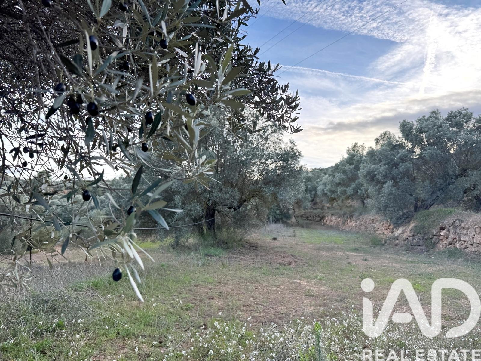 Zemes gabals Asco, Tarragona, Spānijā 27876 m2 Nr. 185042