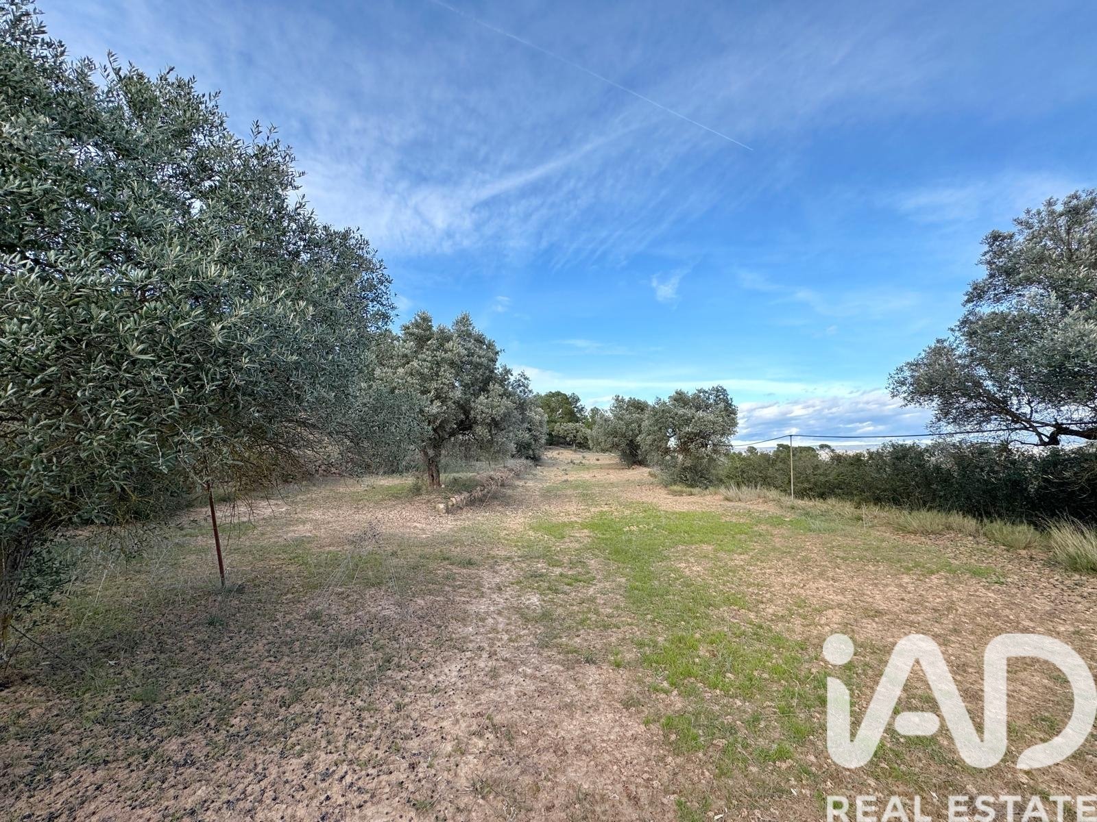 Zemes gabals Asco, Tarragona, Spānijā 27876 m2 Nr. 185042