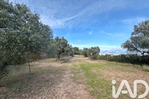 Terreno a Asco, Tarragona, Spagna 27876 mq. N° 185042