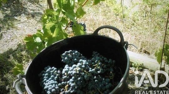 Kommersiell fastighet i Tarragona, Spanien Nr. 173125