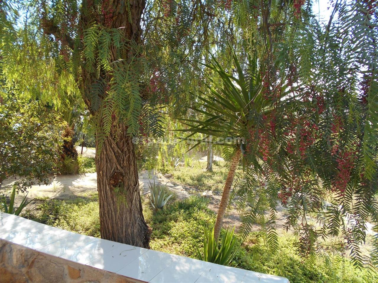 House in Albox, Almeria, Spain 5 bedrooms, 300 sq.m. No. 184132