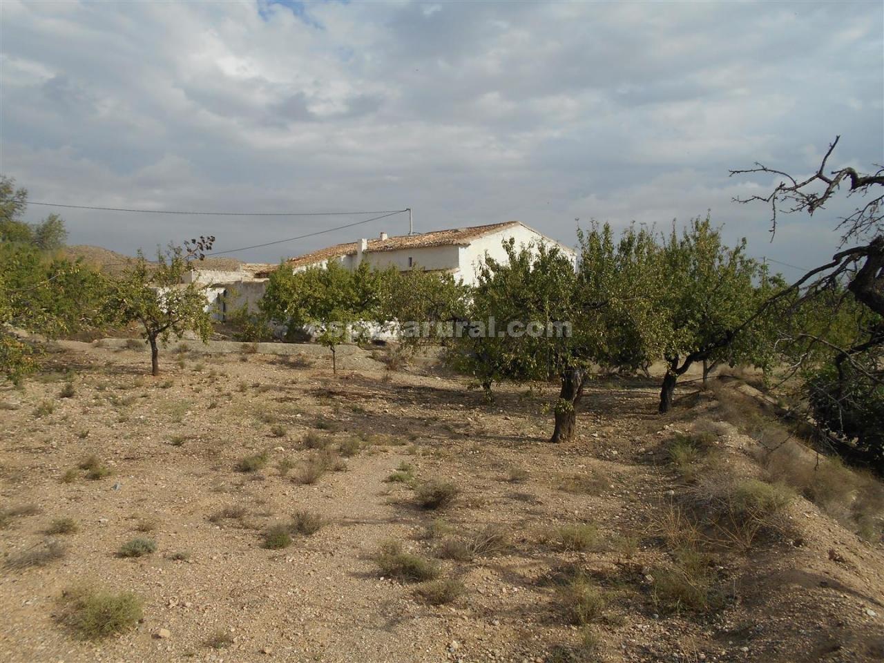 Hus i Albox, Almeria, Spanien 6 sovrum, 180 kvm. Nr. 184134