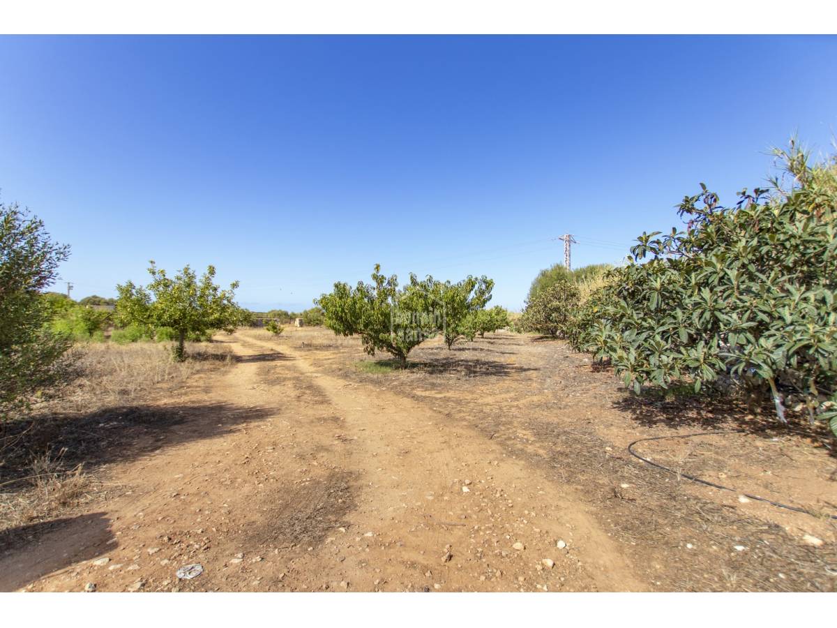 Hus i Mahon, Menorca, Spanien 10 sovrum, 1419 kvm. Nr. 81219
