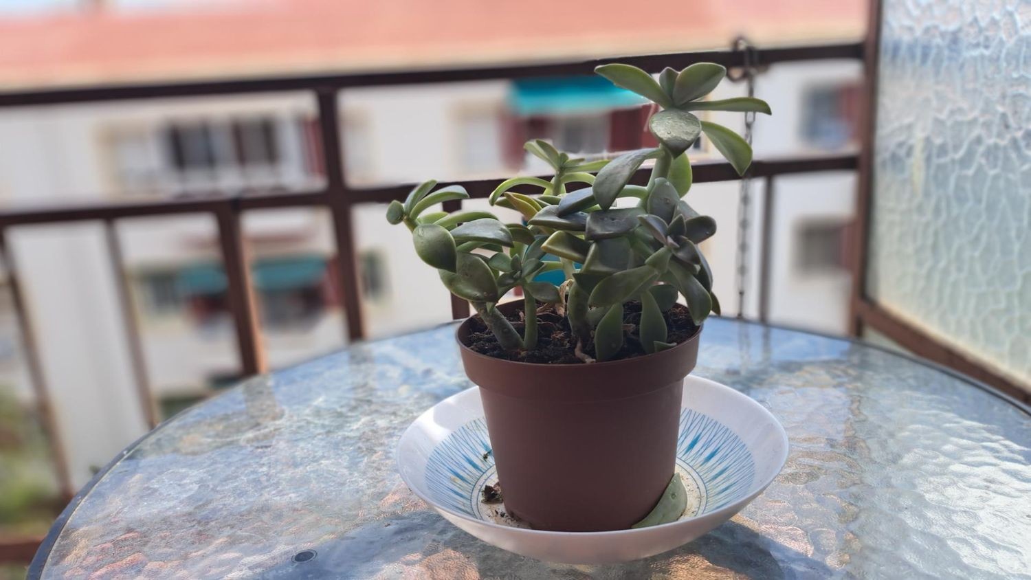 Wohnung in Alicante, Spanien 3 Schlafzimmer, 92 m2 Nr. 183469