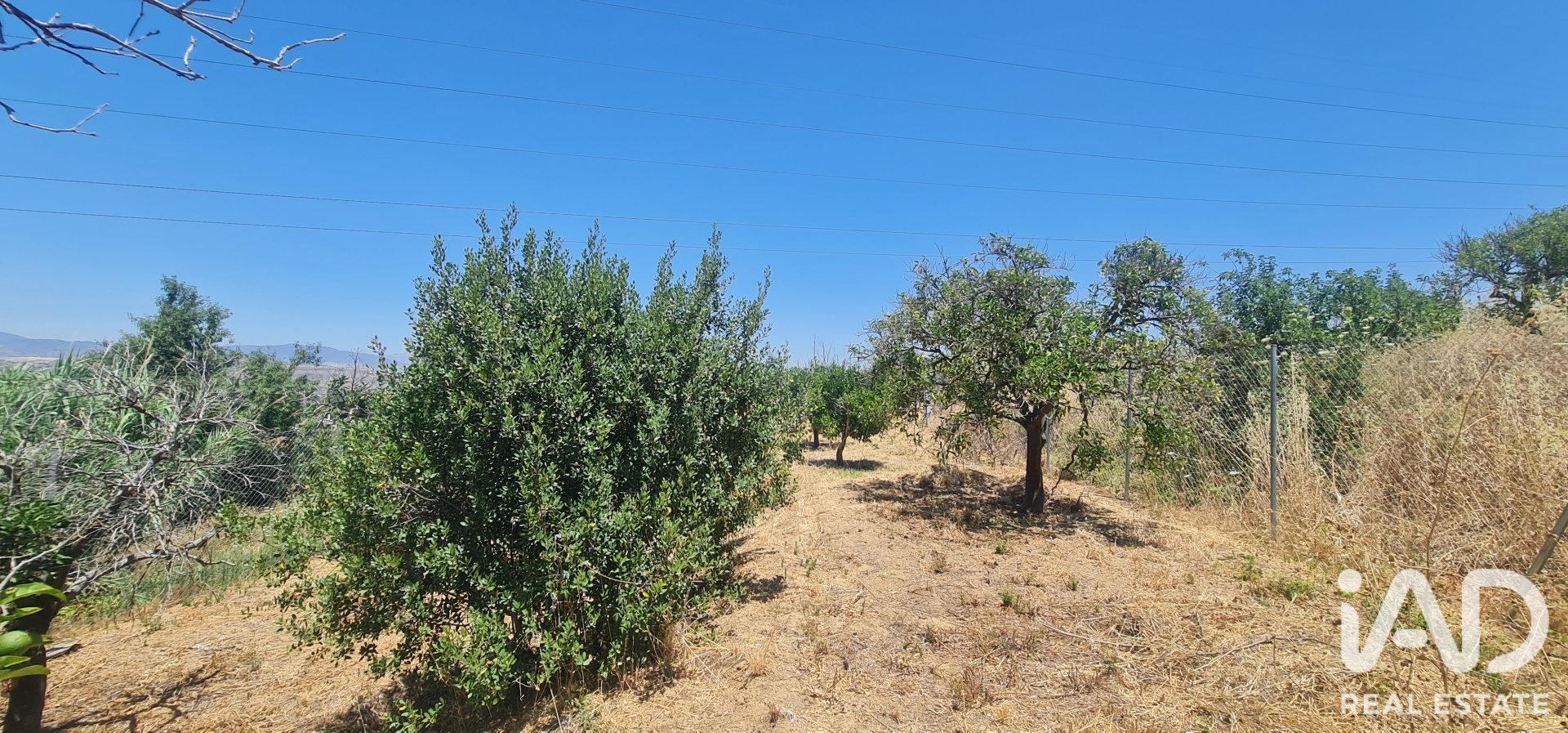 Land plot in Alhaurin el Grande, Malaga, Spain 1103 sq.m. No. 187792