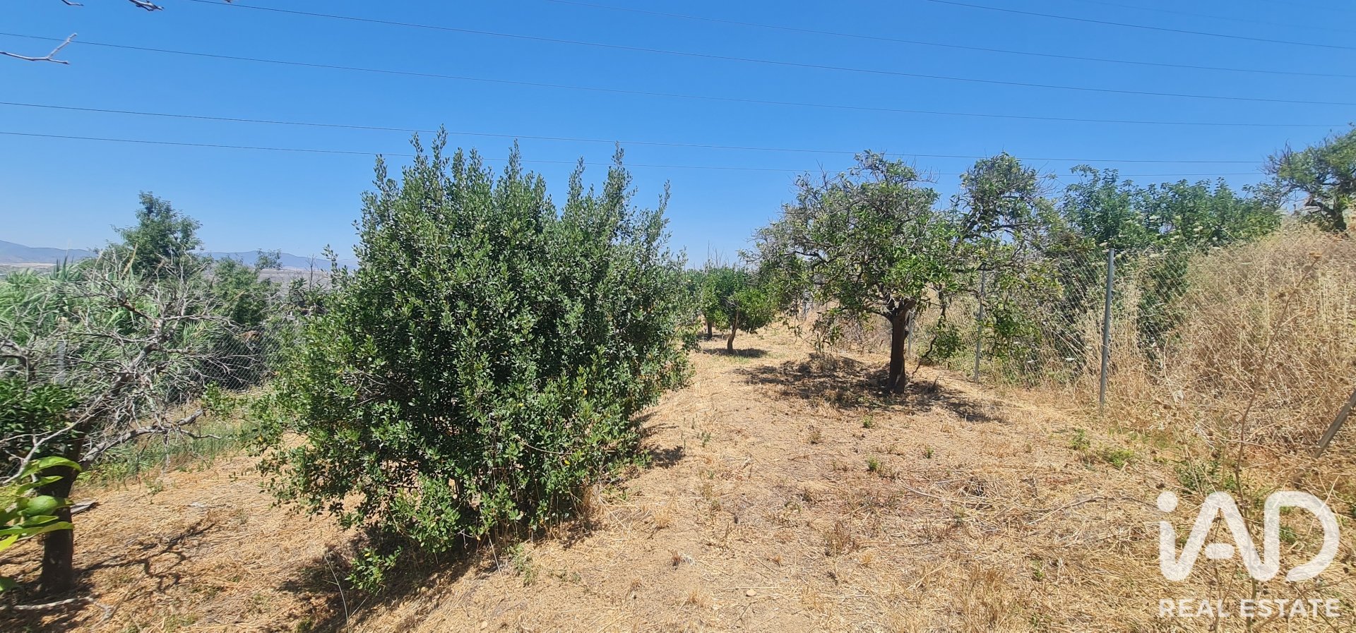Land plot in Alhaurin el Grande, Malaga, Spain 1103 sq.m. No. 187792