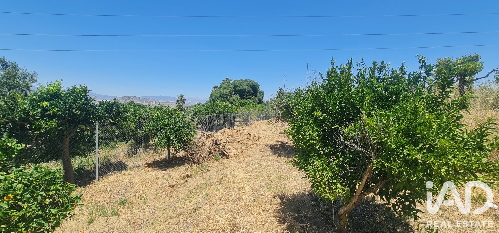 Land plot in Alhaurin el Grande, Malaga, Spain 1103 sq.m. No. 187792