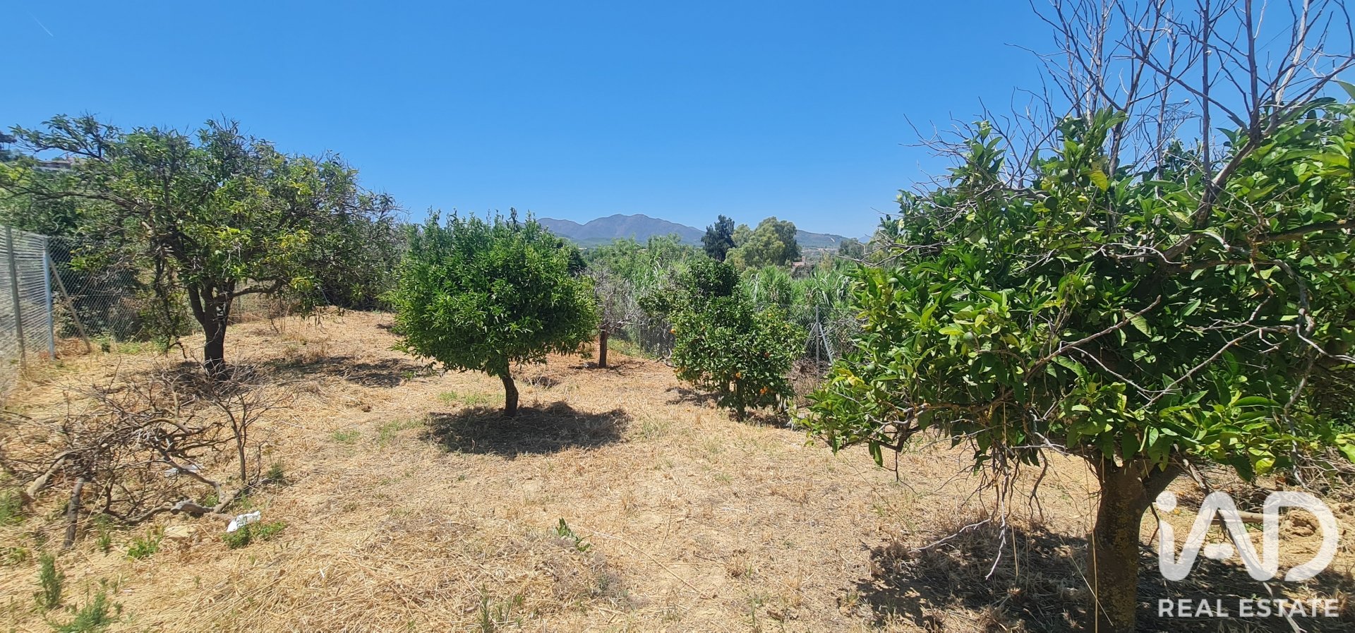 Land plot in Alhaurin el Grande, Malaga, Spain 1103 sq.m. No. 187792