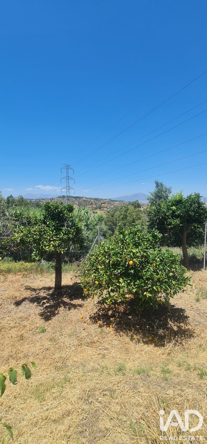 Land plot in Alhaurin el Grande, Malaga, Spain 1103 sq.m. No. 187792