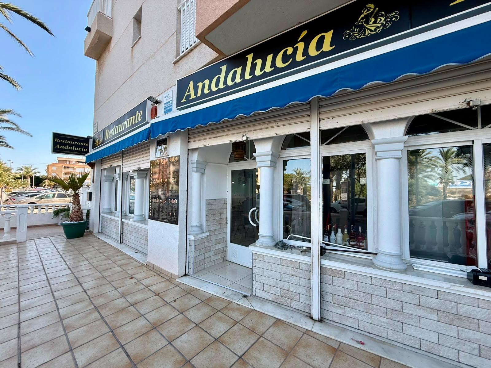 Propiedad comercial en Guardamar del Segura, Alicante, España 101 m2 No. 193302