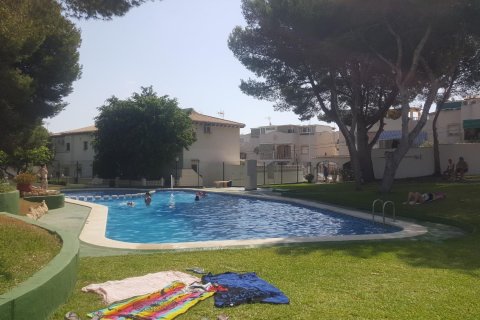 Bungalo Los Altos, Alicante, Spānijā 1 istaba, 32 m2 Nr. 182916