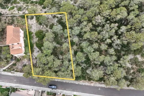 Land plot in Canyelles, Barcelona, Spain No. 191209