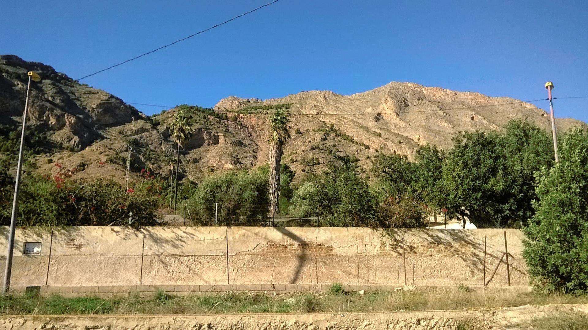 Finca Orihuela, Alicante, Spānijā 7 istabas, 431 m2 Nr. 195469
