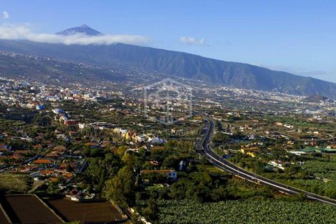 Lokal usługowy w Puerto de la Cruz, Tenerife, Hiszpania 3000 mkw. nr 111039