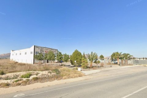Gewerbeimmobilien in Orihuela, Alicante, Spanien 1 Schlafzimmer, 400 m2 Nr. 149451
