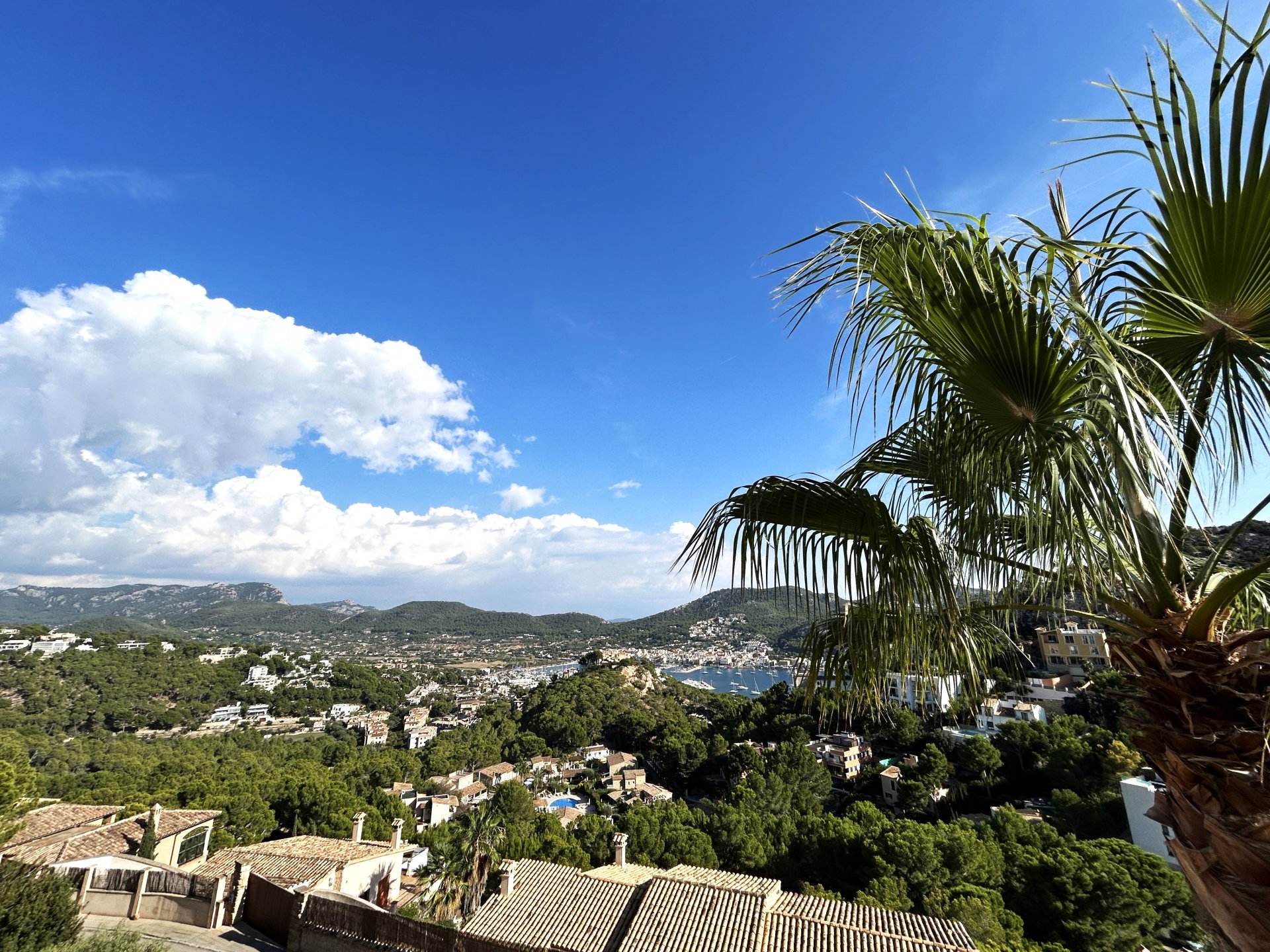 Villa in Mallorca, Spain 5 bedrooms, 350 sq.m. No. 193646