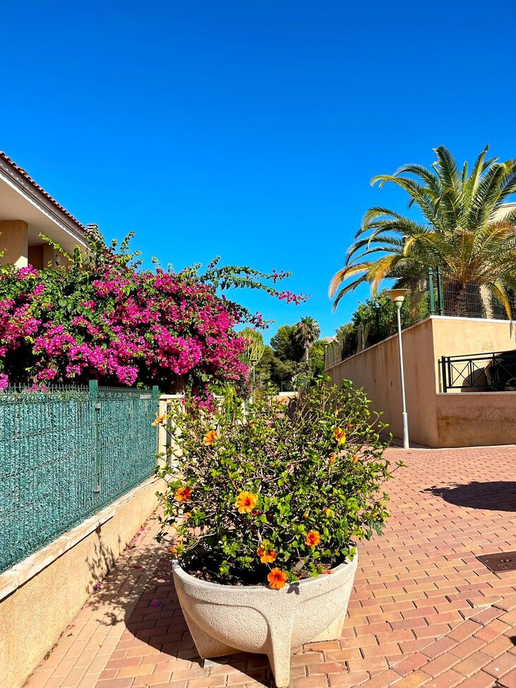 Bungalow in Gran Alacant, Alicante, Spain 2 bedrooms,  No. 190222