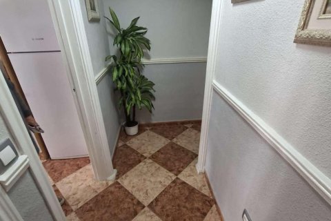 Apartament w Torrevieja, Alicante, Hiszpania 3 sypialnie, 91 mkw. nr 184315