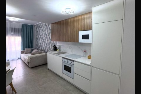 Квартира в Торревьеха, Аликанте, Испания 1 спальня, 75м2 №166182