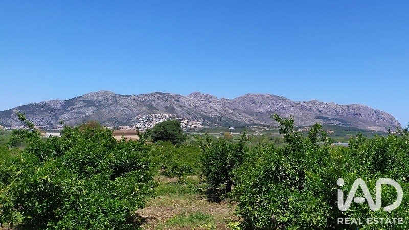 Land plot in Beniarbeig, Alicante, Spain 520 sq.m. No. 195845