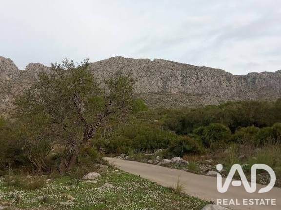 Land plot in Beniarbeig, Alicante, Spain 520 sq.m. No. 195845