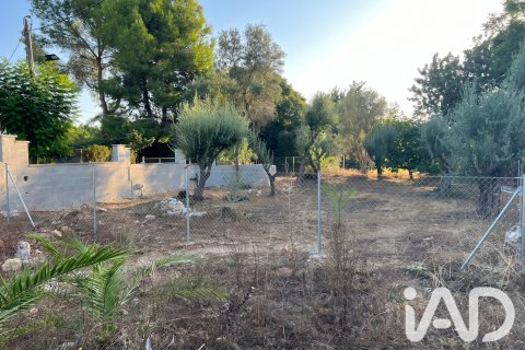 Zemes gabals Beniarbeig, Alicante, Spānijā 520 m2 Nr. 195845