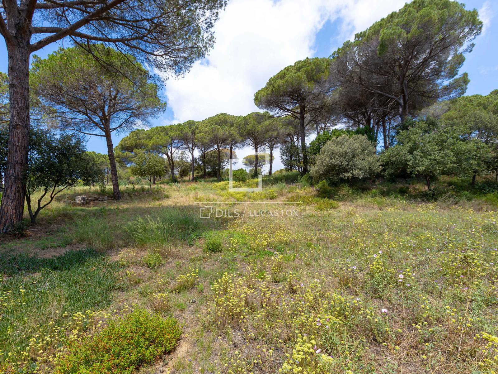 Land plot in Vallromanes, Barcelona, Spain No. 192816