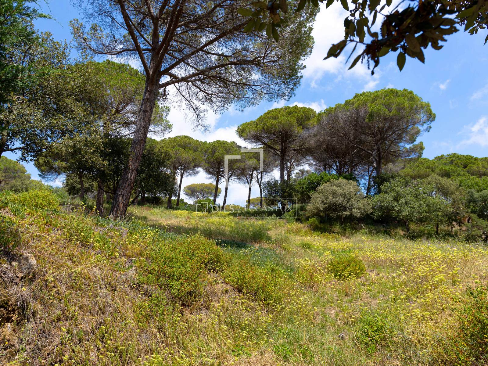 Land plot in Vallromanes, Barcelona, Spain No. 192816