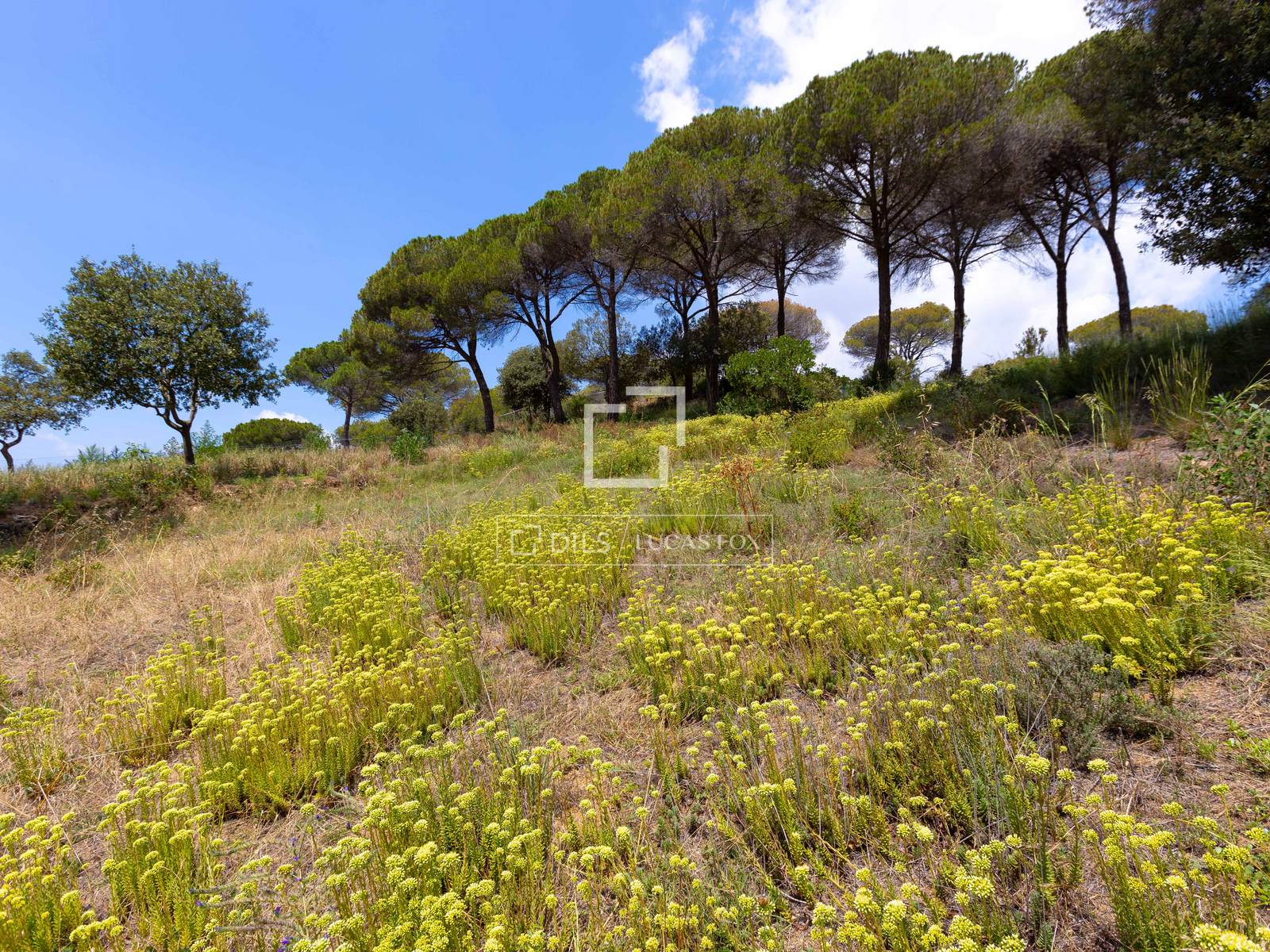 Land plot in Vallromanes, Barcelona, Spain No. 192816