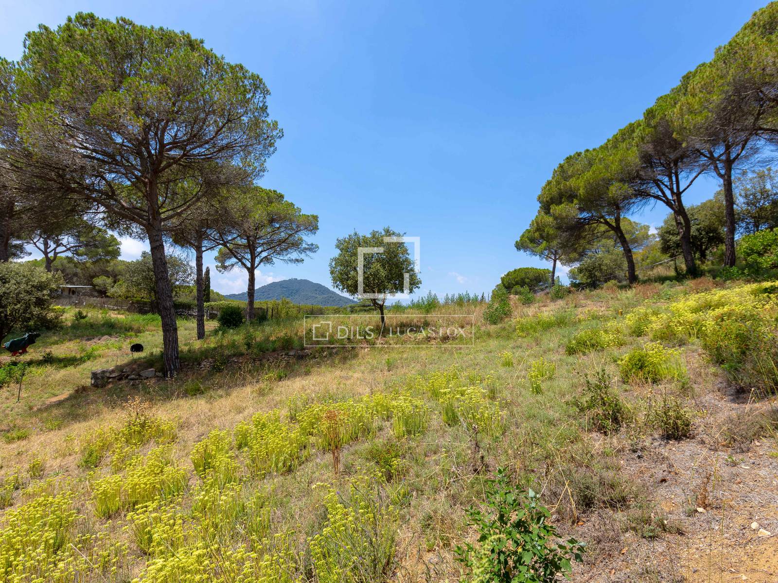 Land plot in Vallromanes, Barcelona, Spain No. 192816