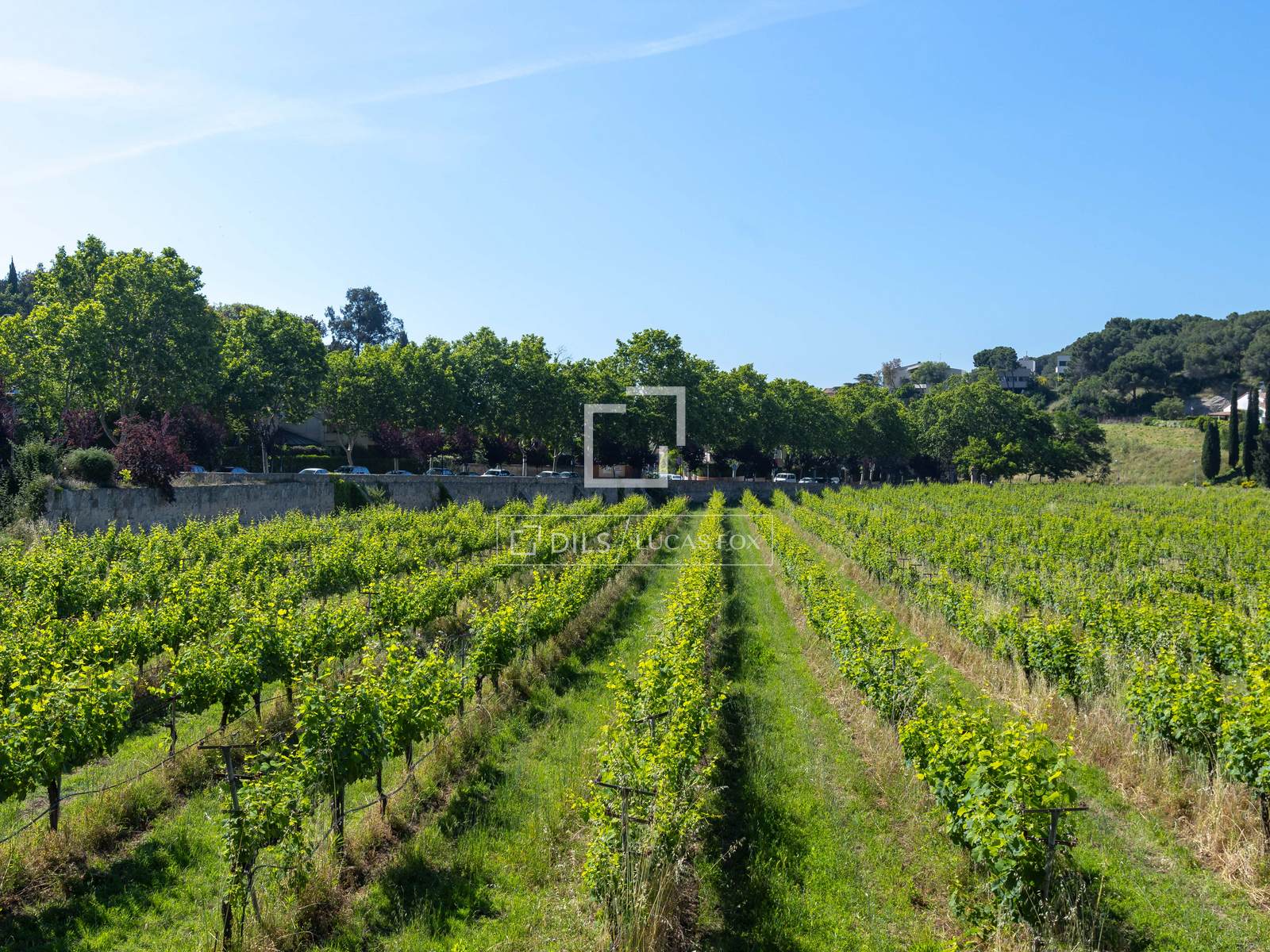 Finca Alella, Barcelona, Spānijā 10 istabas, 922 m2 Nr. 192815
