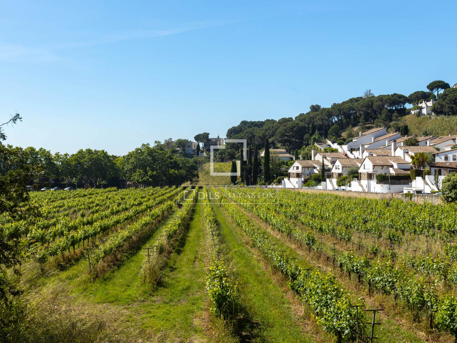 Finca Alella, Barcelona, Spānijā 10 istabas, 922 m2 Nr. 192815