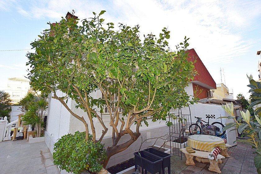Huvila Torrevieja, Alicante, Espanja 3 makuuhuonetta, 200 m2 No. 103379