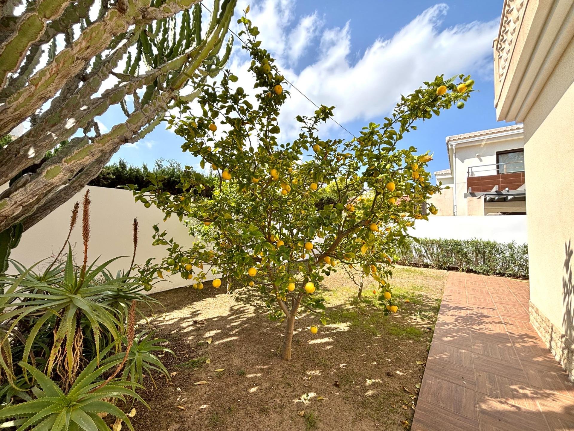 Villa a Cabo Roig, Alicante, Spagna 4 camere da letto, 261 mq. N° 194518