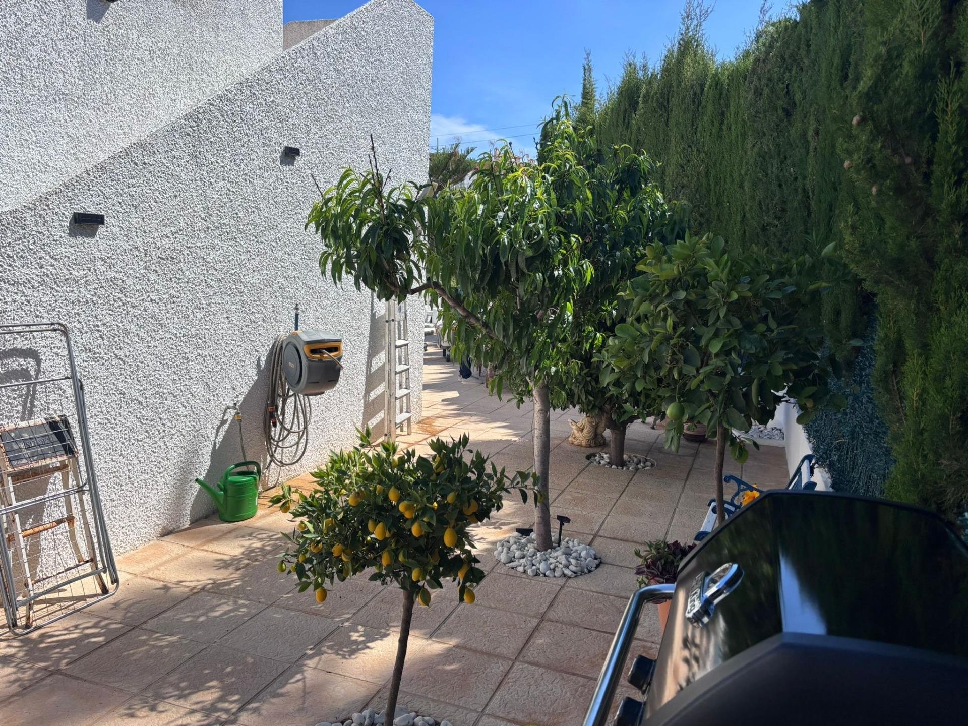 Villetta a schiera a Los Balcones, Alicante, Spagna 2 camere da letto, 133 mq. N° 194517