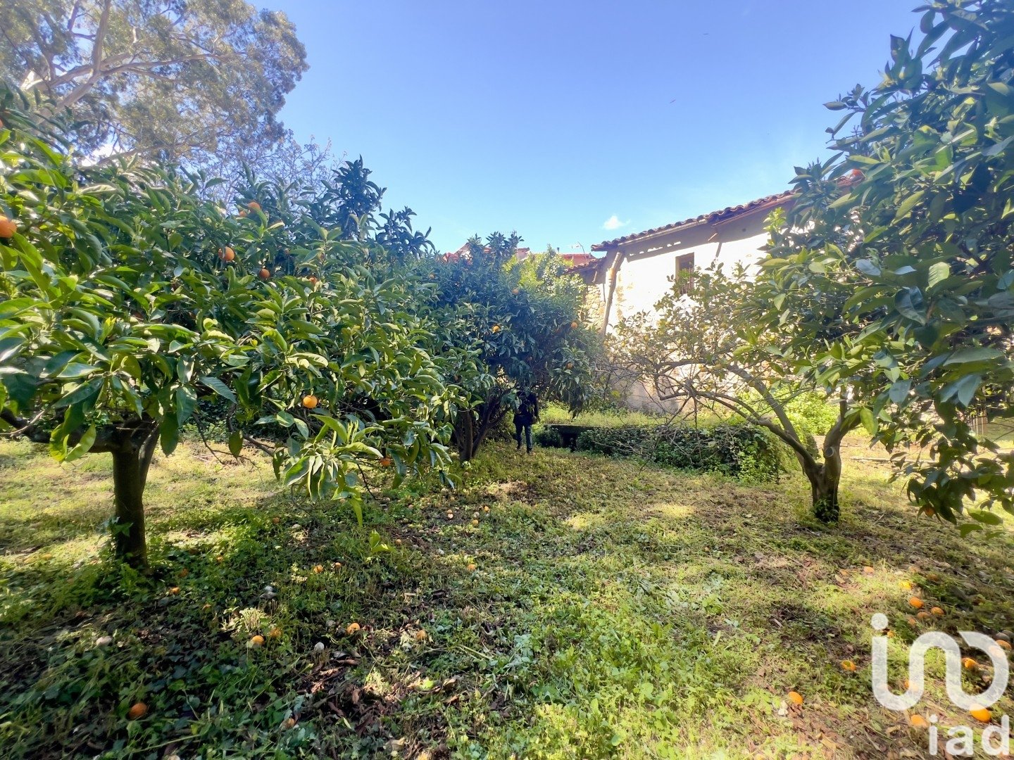 Lokal usługowy w Gata, Caceres, Hiszpania 980 mkw. nr 153506
