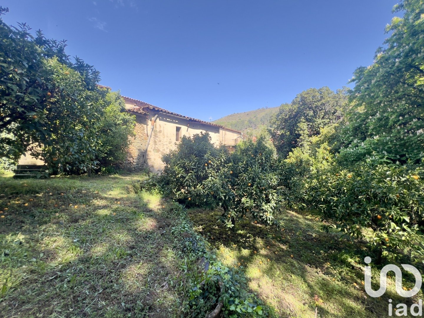 Lokal usługowy w Gata, Caceres, Hiszpania 980 mkw. nr 153506