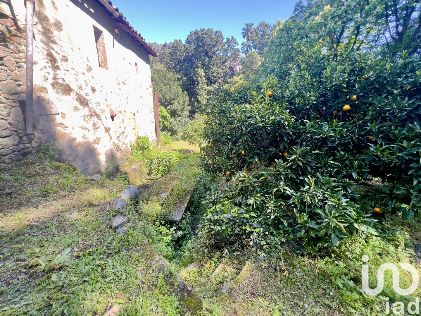 Lokal usługowy w Gata, Caceres, Hiszpania 980 mkw. nr 153506