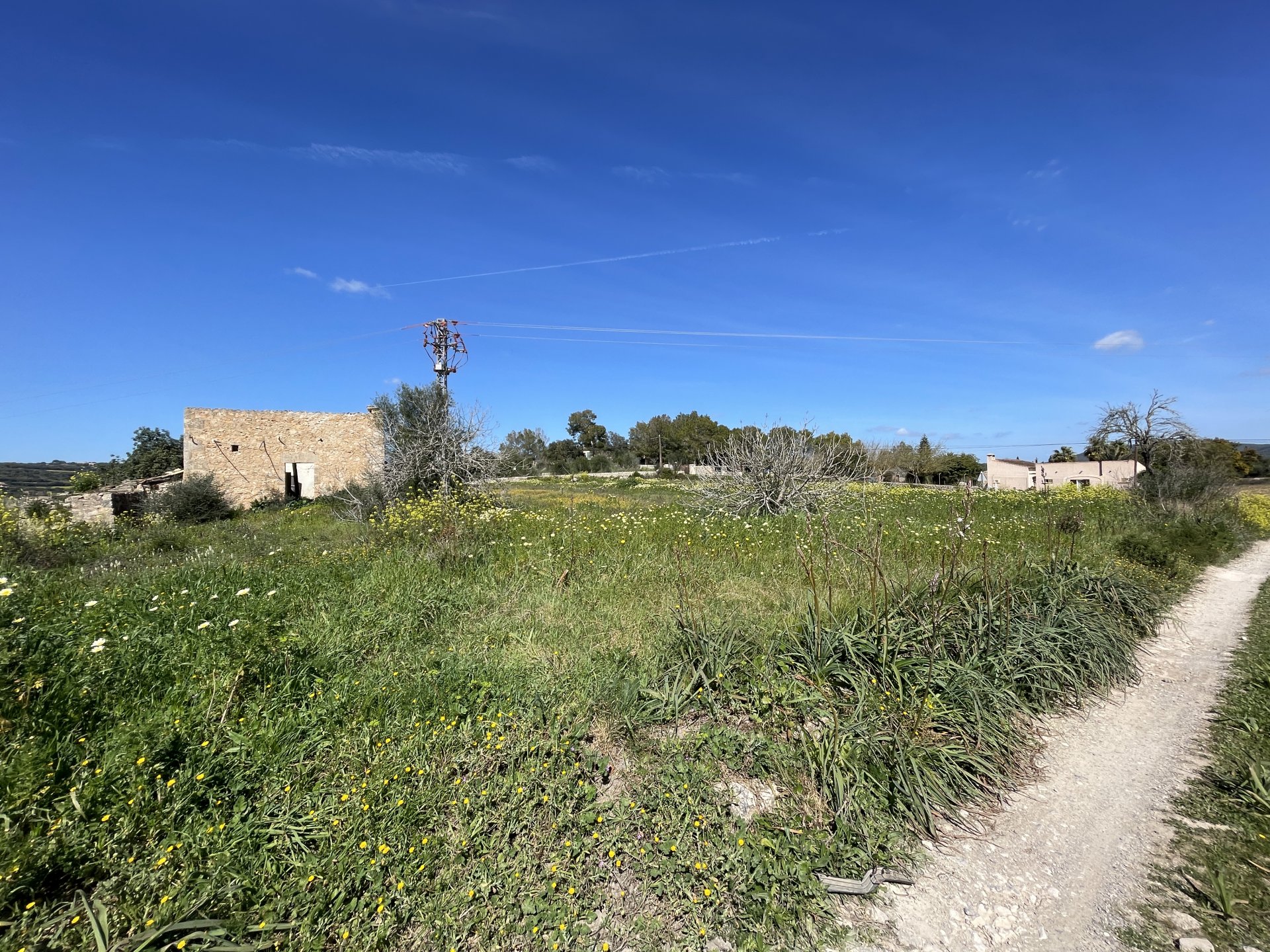 Land plot in Manacor, Mallorca, Spain 15243 sq.m. No. 64855