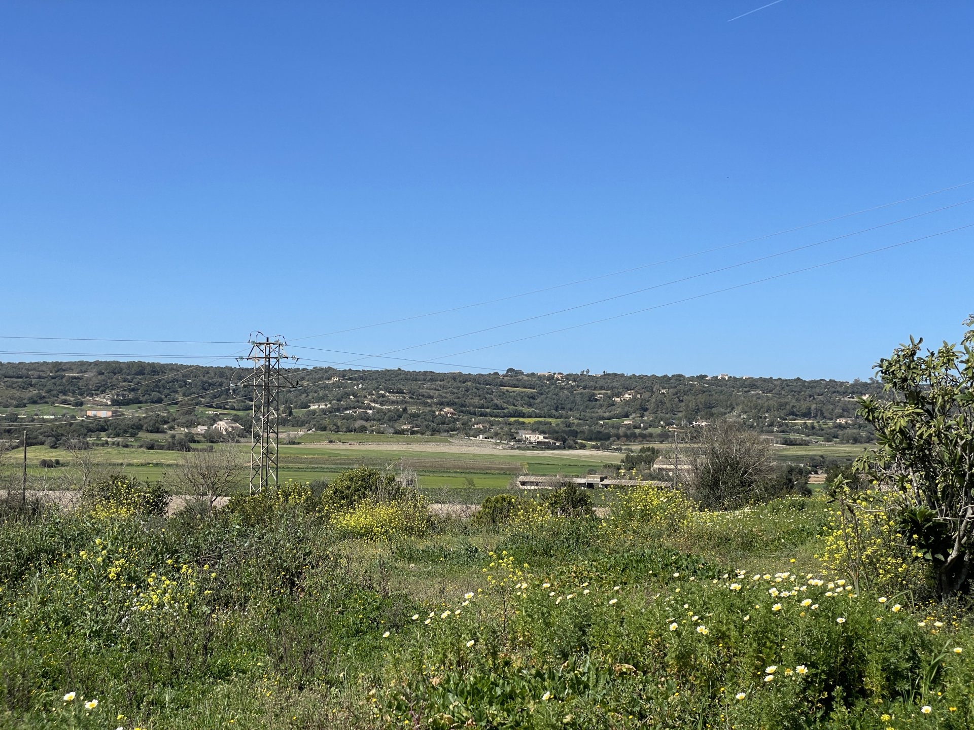 Land plot in Manacor, Mallorca, Spain 15243 sq.m. No. 64855