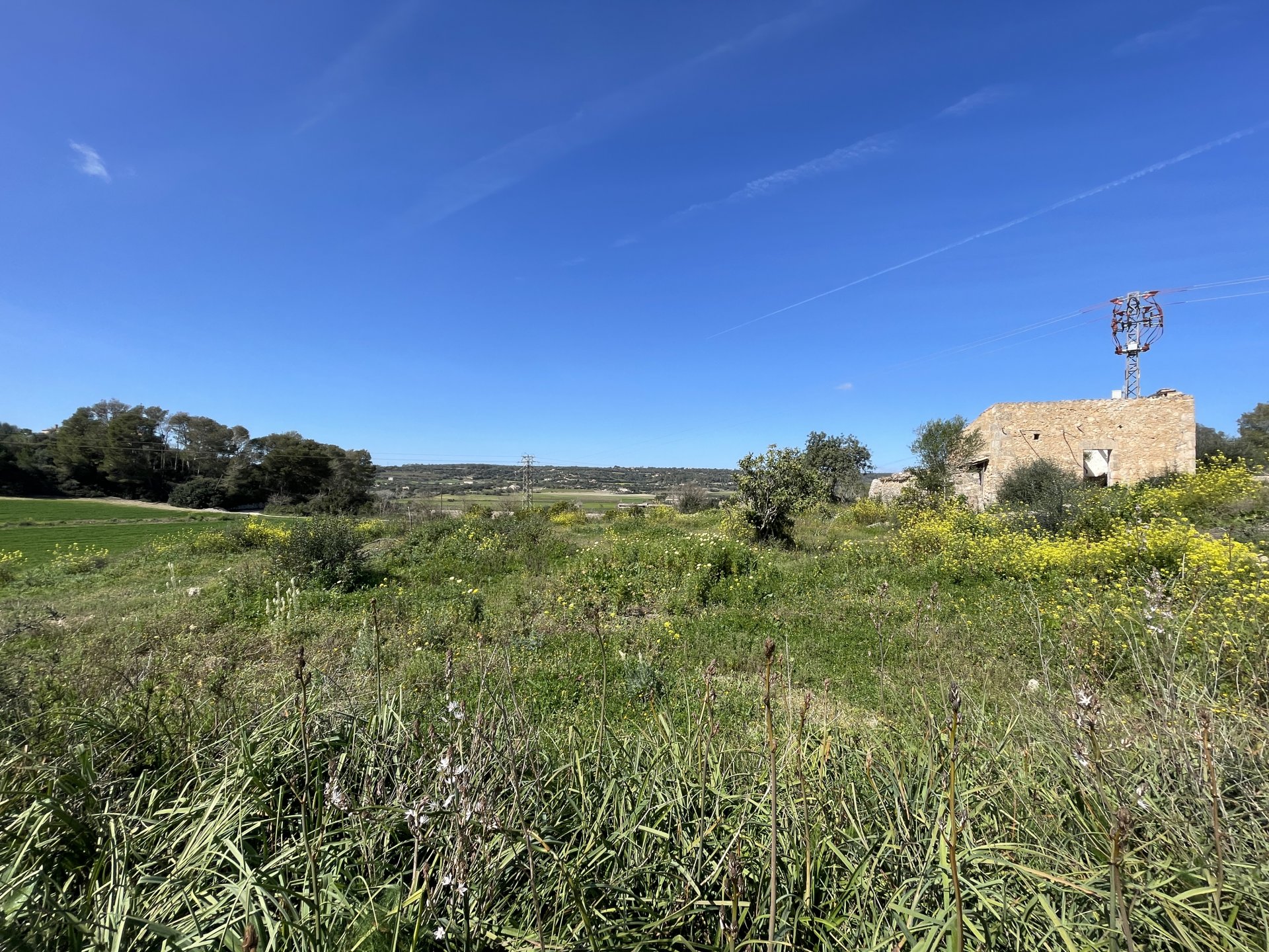 Land plot in Manacor, Mallorca, Spain 15243 sq.m. No. 64855