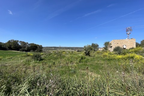 Działka w Manacor, Mallorca, Hiszpania 15243 mkw. nr 64855