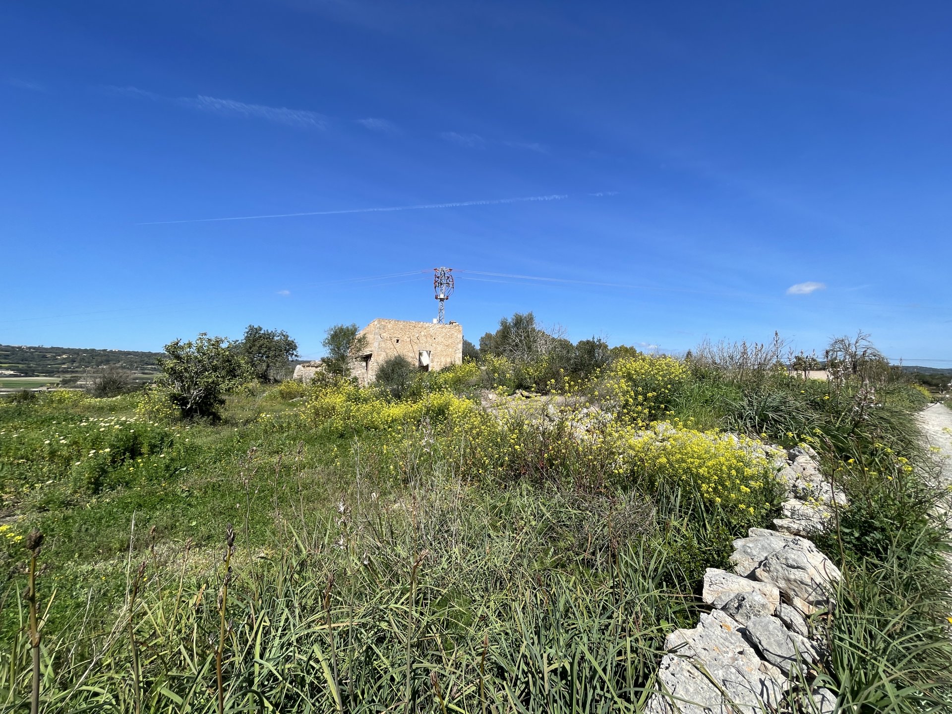 Land plot in Manacor, Mallorca, Spain 15243 sq.m. No. 64855
