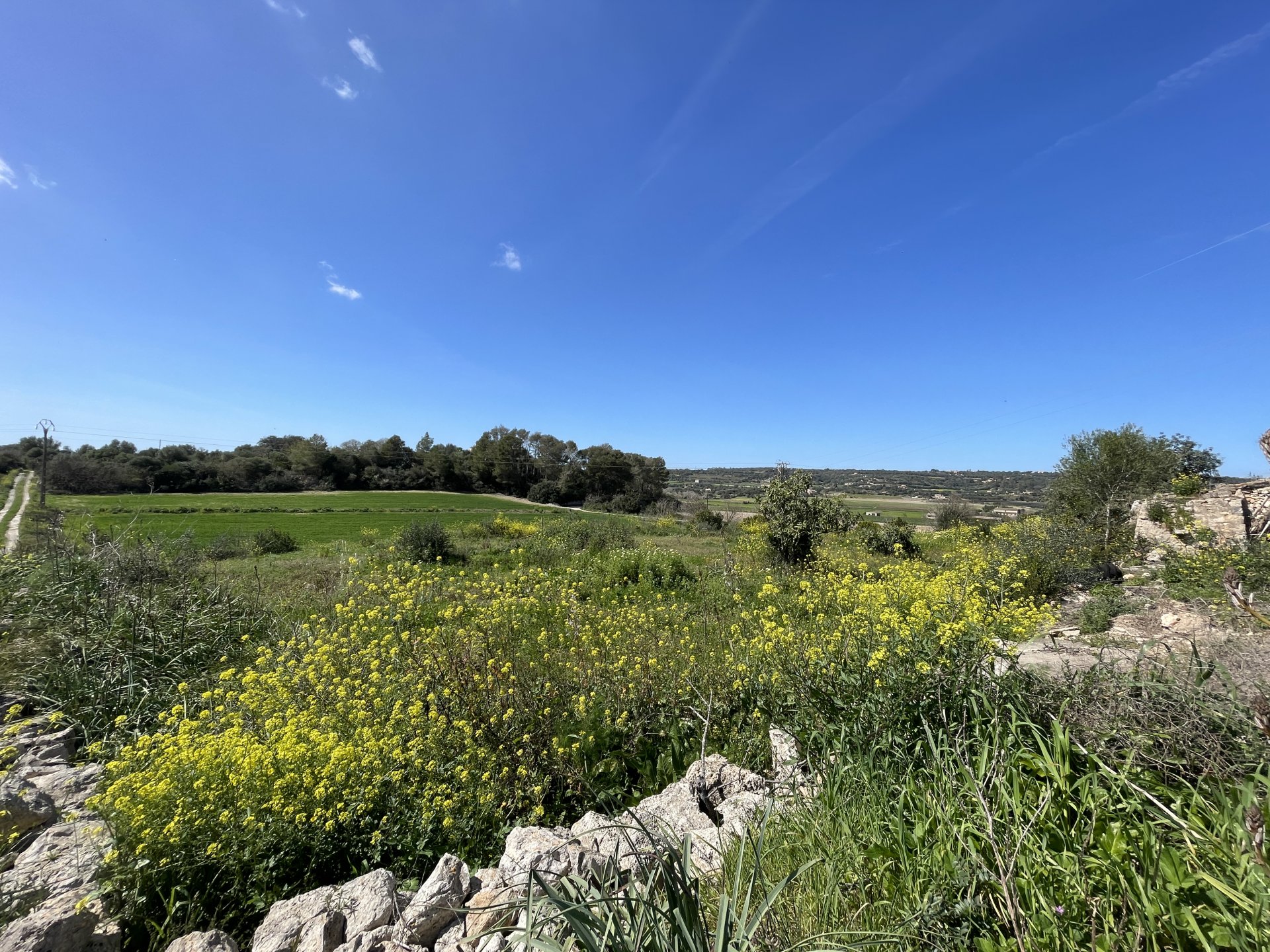Land plot in Manacor, Mallorca, Spain 15243 sq.m. No. 64855