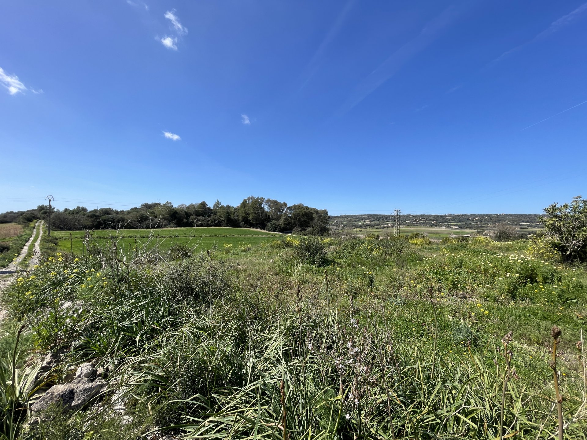 Land plot in Manacor, Mallorca, Spain 15243 sq.m. No. 64855