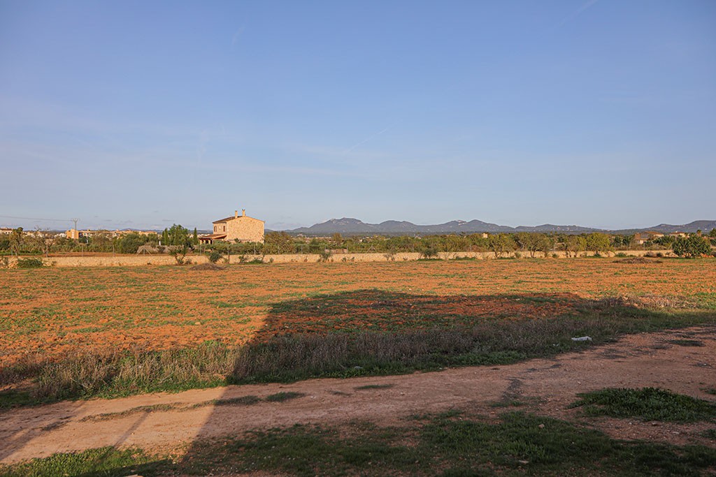 Villa Campos, Mallorca, Spānijā 8 istabas, 500 m2 Nr. 147950