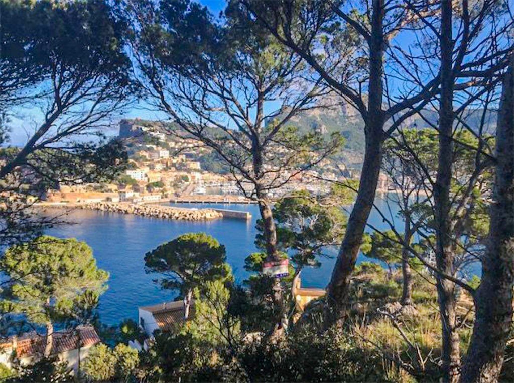 Działka w Soller, Mallorca, Hiszpania nr 147949