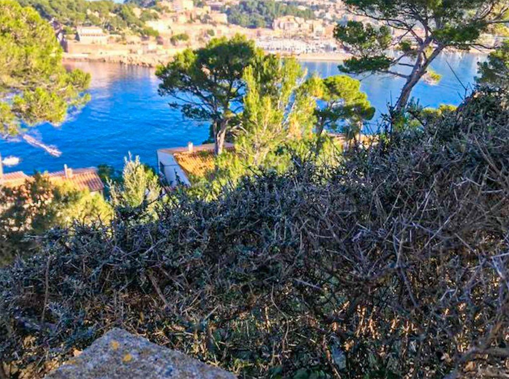 Działka w Soller, Mallorca, Hiszpania nr 147949