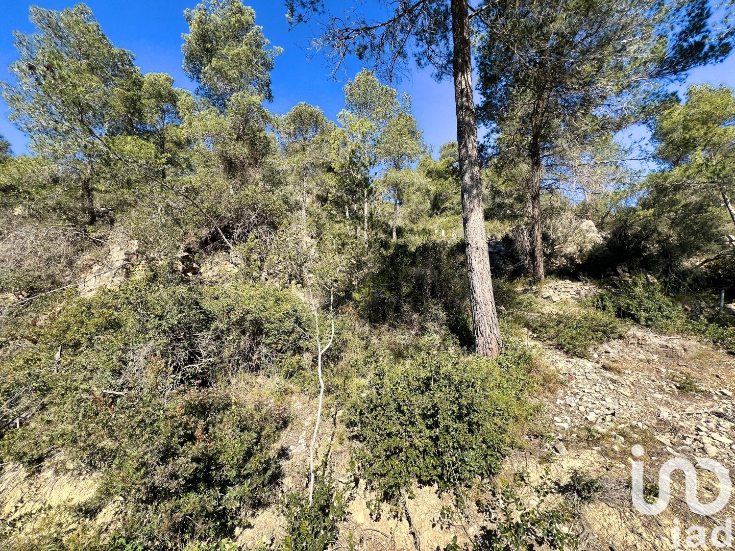Zemes gabals Vallirana, Barcelona, Spānijā 850 m2 Nr. 186026