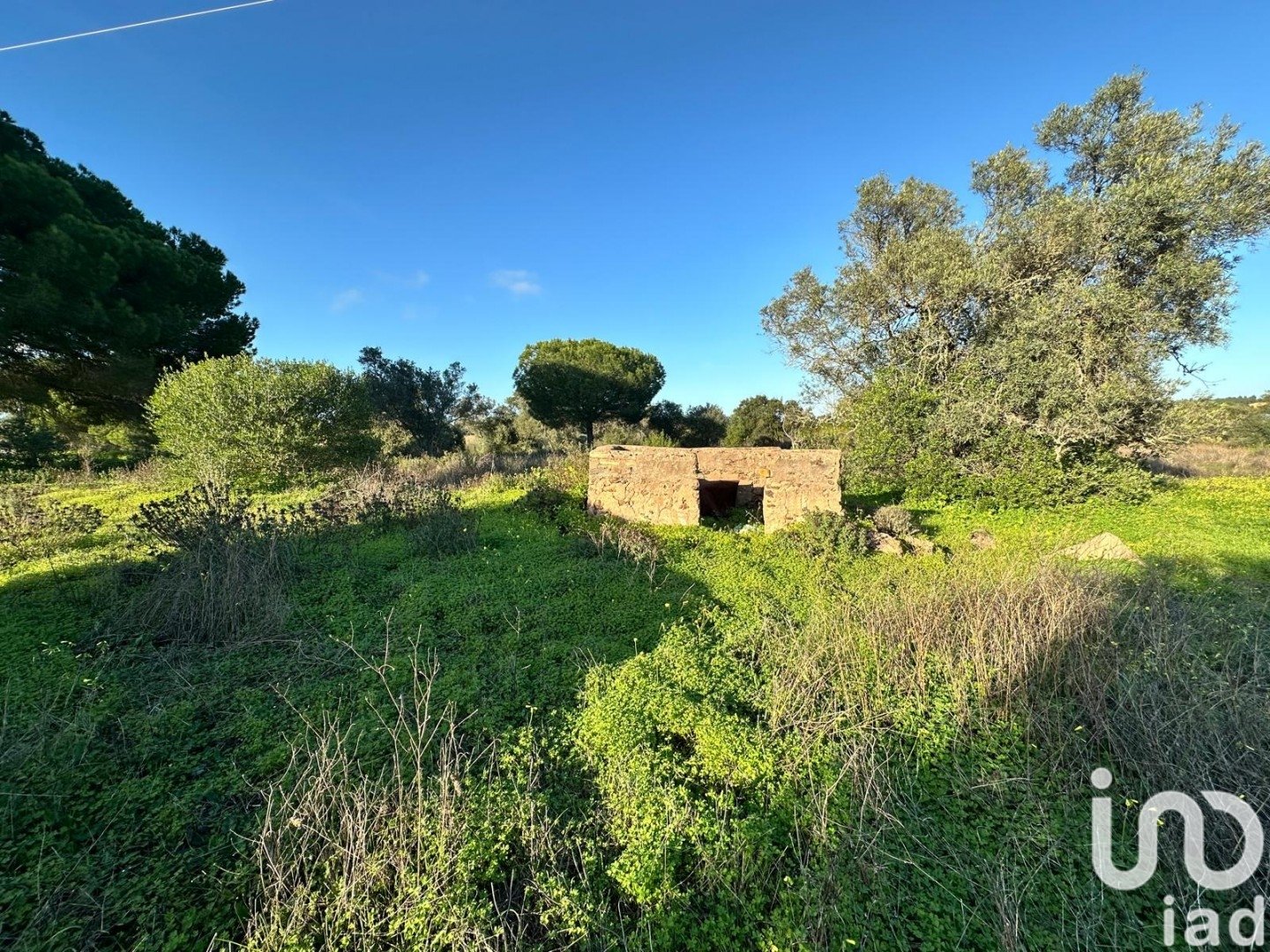 Land plot in Villablanca, Huelva, Spain 44740 sq.m. No. 186022
